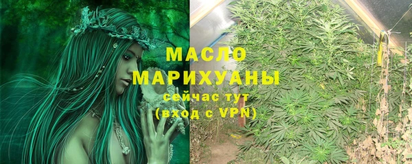 гидра Елабуга