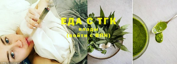 гидра Елабуга