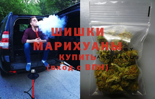 mdpv Ельня