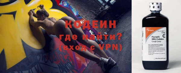 гидра Елабуга