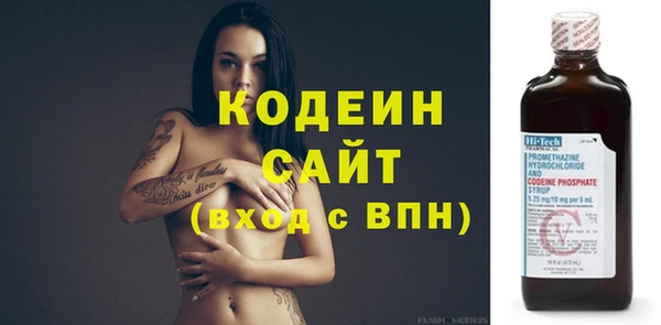 гидра Елабуга