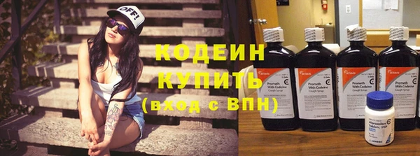 гидра Елабуга