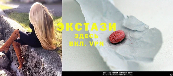 гидра Елабуга
