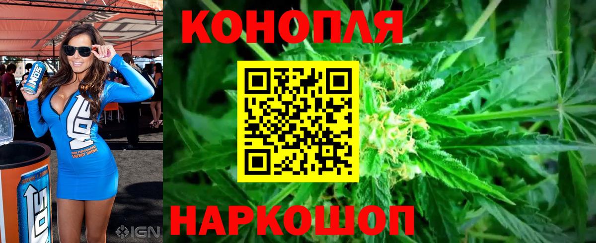 Елец  Канабис гибрид  Шишки марихуана OG Kush  Марихуана сатива  Вход с VPN  Шишки марихуана план 
